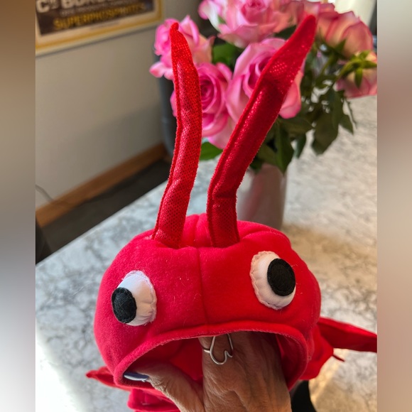 Michaels Other - Lobster Pet Costume